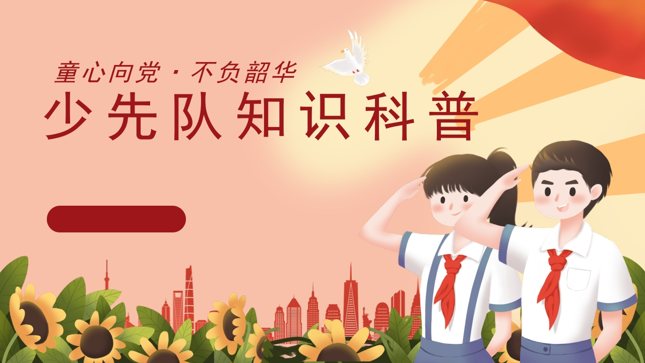 20.少先队知识科普-教务文库